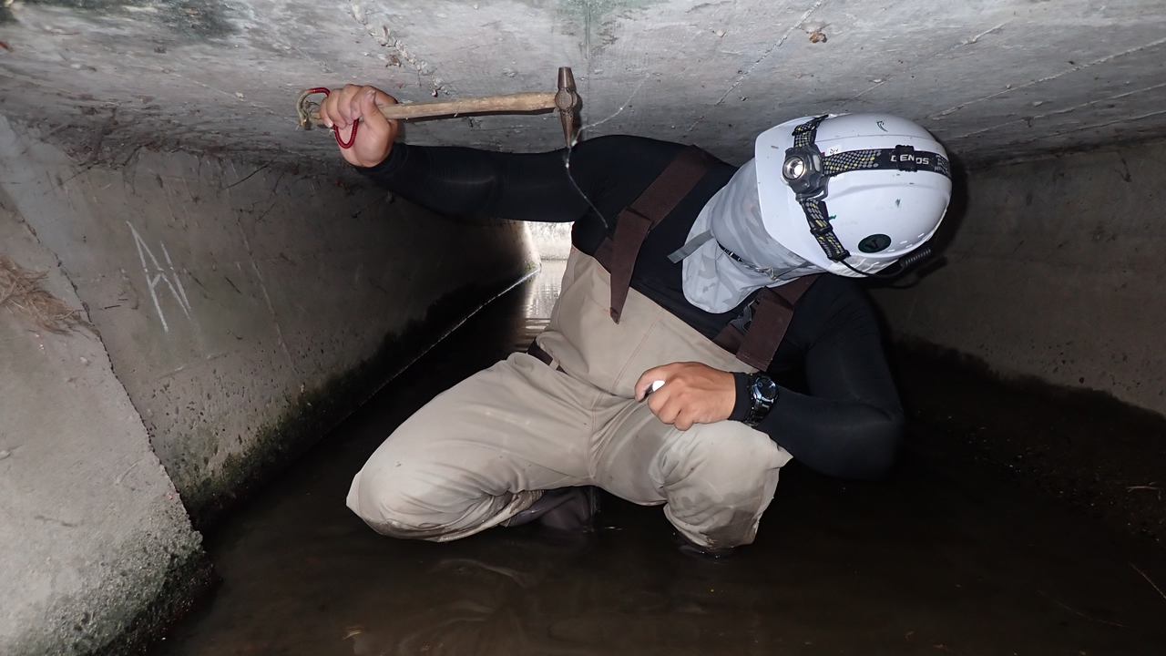 2023年入社　土木事業部　橋梁・構造グループ